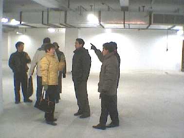 tsyd185.jpg (11412 bytes)